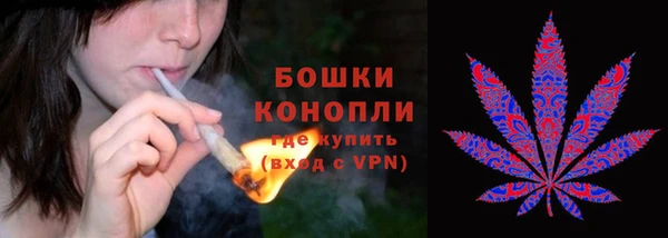 прущий лед Богородск