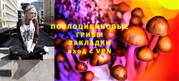 Альфа ПВП Богородицк