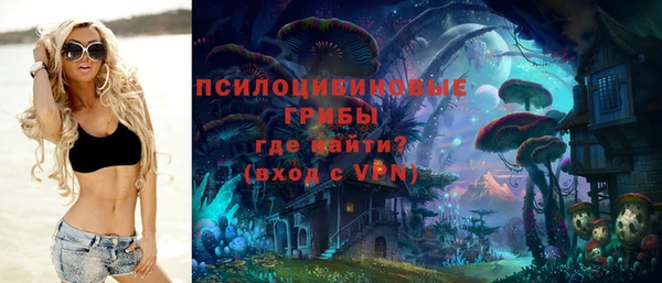 прущий лед Богородск