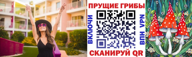 Псилоцибиновые грибы MAGIC MUSHROOMS  мега зеркало  Александровское 